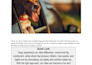 seo article writing, blog post writing or copywriting with images